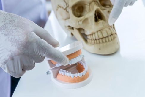 Assistance of Forensic Odontology in Victim Identification