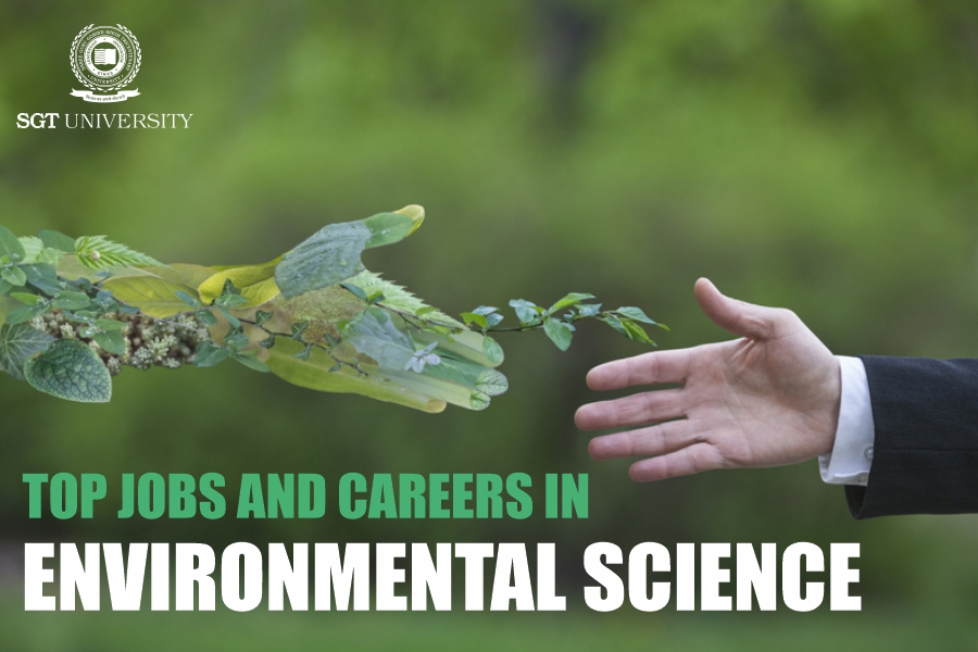 You are currently viewing Top Jobs and Careers in Environmental Science