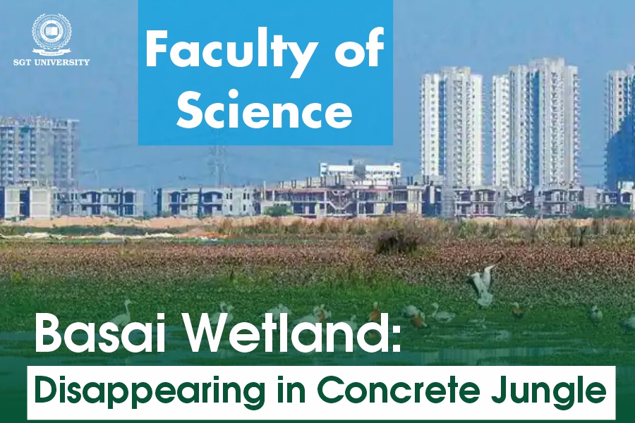 You are currently viewing Basai Wetland: Disappearing in Gurugram’s Concrete Jungle