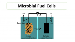 Microbial Fuel Cells: An Approach to Green Era